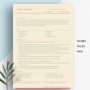 SOFTWARE ENGINEER RESUME, Web Developer Resume, software developer cv template, Software Developer Resume, Software Engineer Resume Template