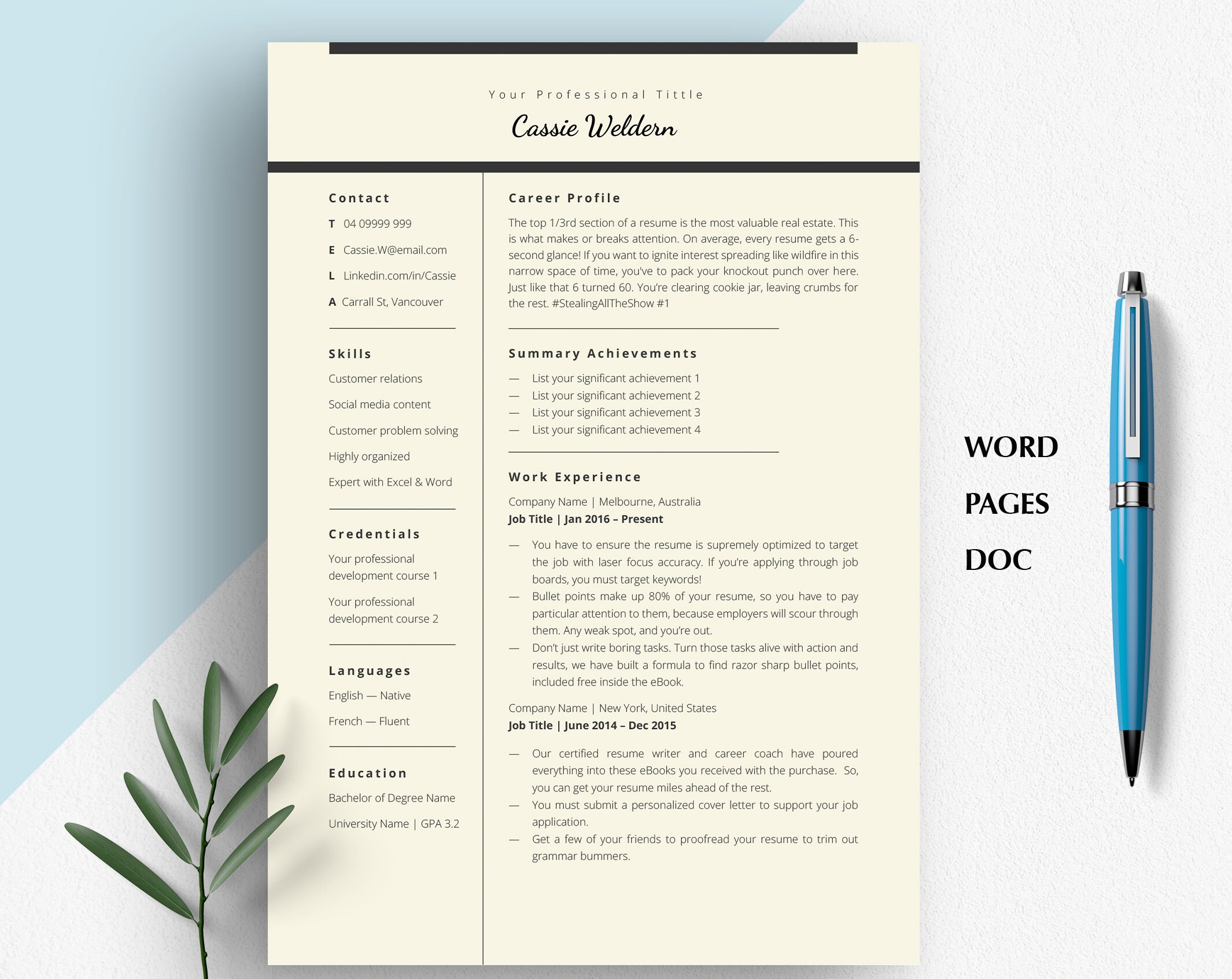 Professional Resume Template 3 Page | Clean ATS Resume | Apple Pages CV | Modern Word Resume | Basic Resume Template 2025, CV Template