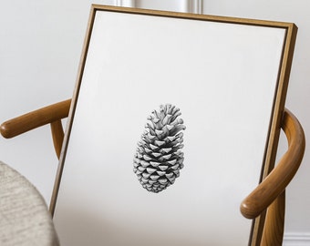 Pine Cone Sketch Print: Hand Drawn Botanical Wall Art (Digital Download)