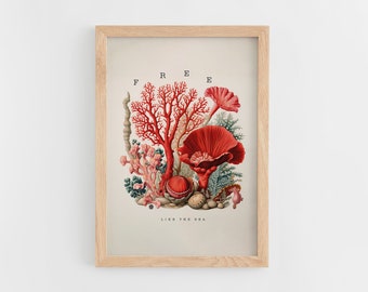 Coral Sea Life Vintage Art Print: Enhanced Botanical Drawing (Digital Download)