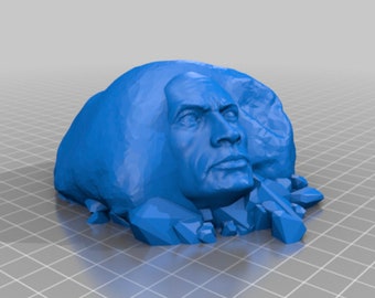 3D-geprinte ROCK ROCK!!! - Verkrijgbaar in veelkleurig!