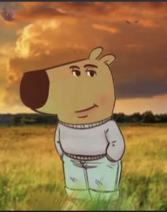 3D Printed Chill Guy - Multicolor! - Etsy