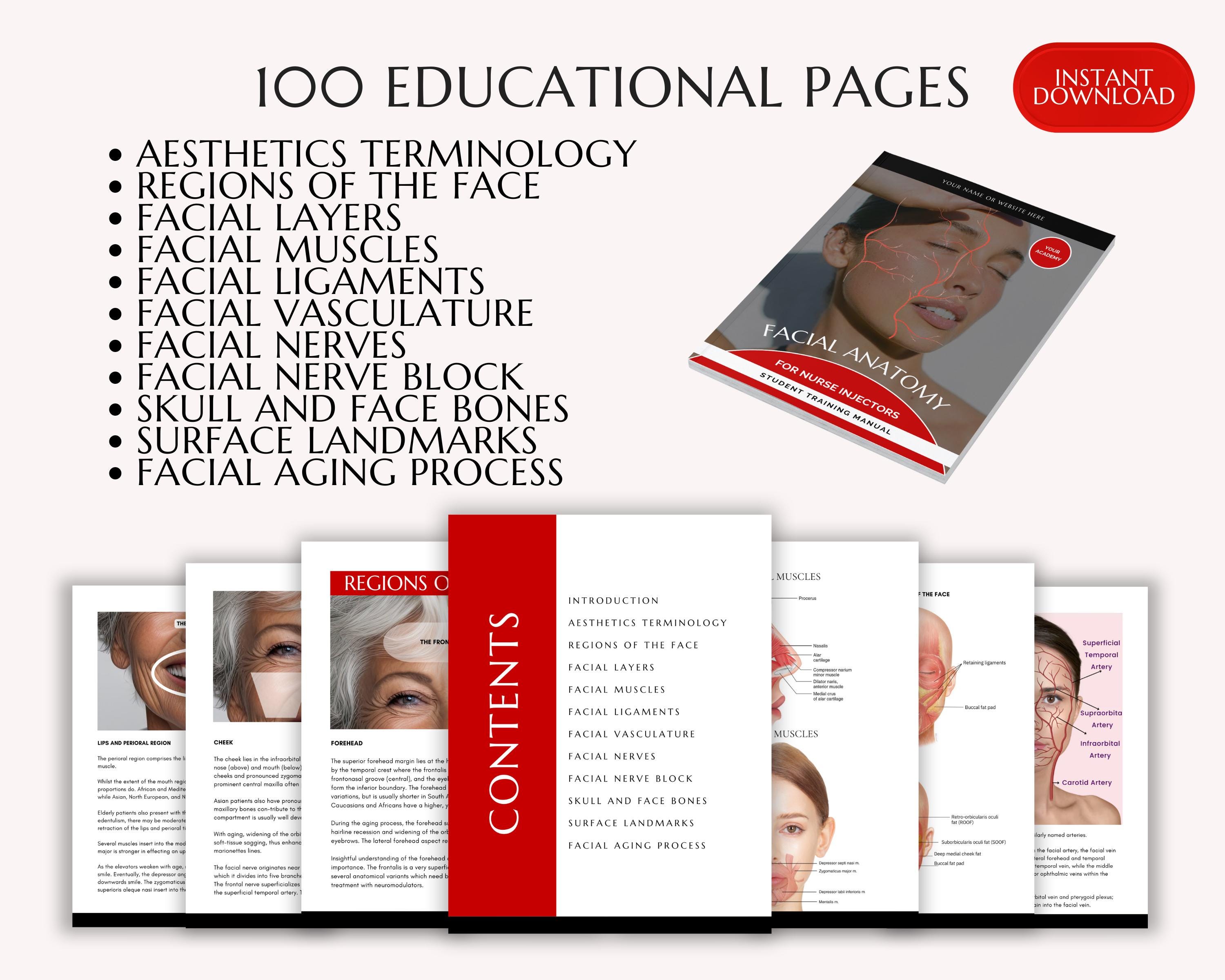 Facial Anatomy for Aesthetic Injectors Training Manual, Cosmetic Nurse ...