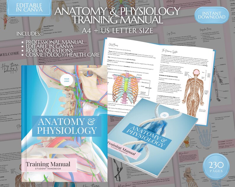 Anatomy and Physiology Training Manual, Editable A&amp;P Course (digital Download) - Etsy
