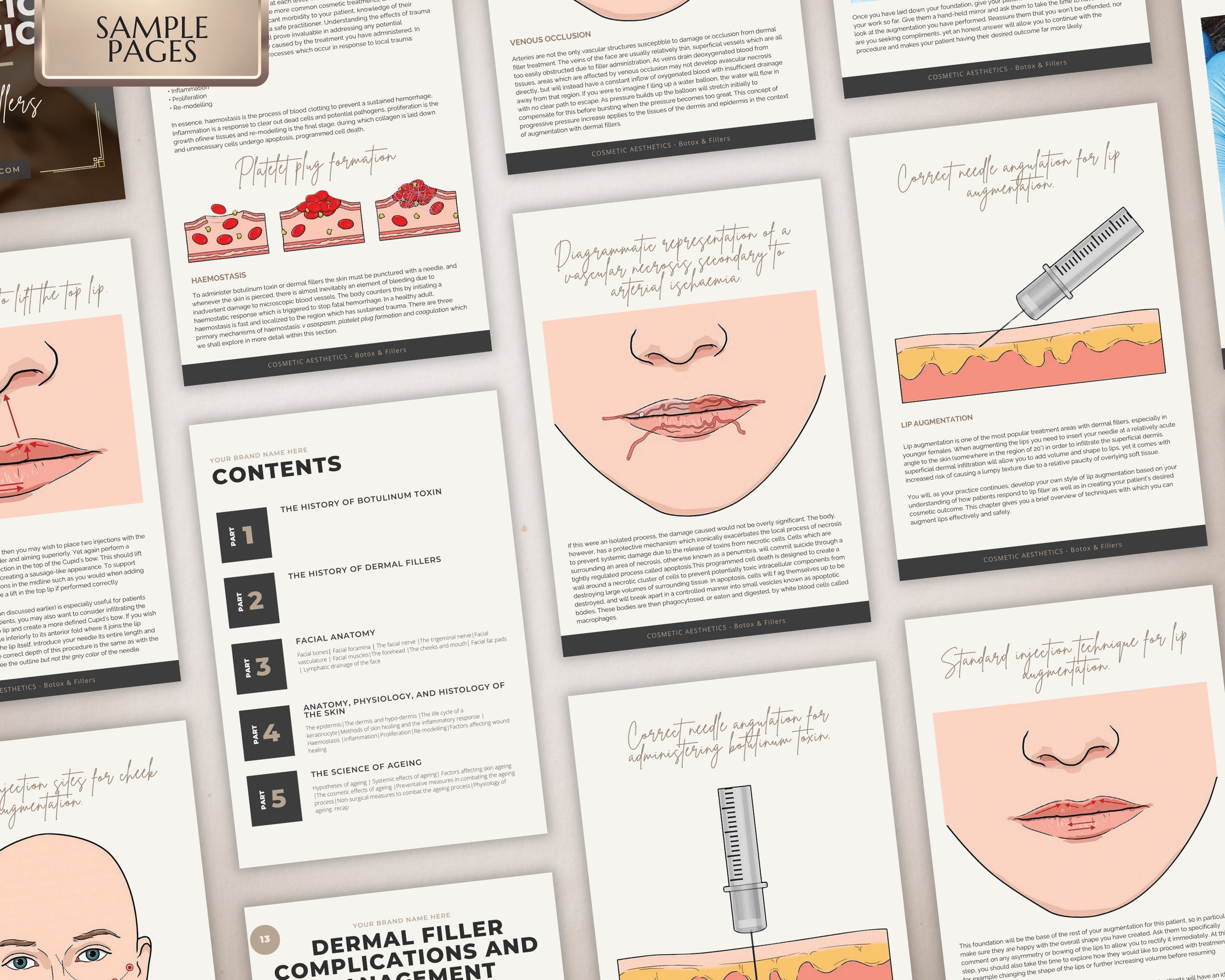 Beginner Botox & Dermal Fillers Training Manual, Injections (canva Edit ...