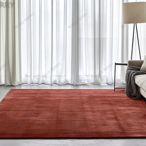 Peut inclure: Un grand tapis rectangulaire de couleur rouille est au premier plan d'une scène de salon. Le tapis est posé sur un sol en béton gris, avec un canapé beige et des rideaux blancs transparents en arrière-plan. Un lampadaire et une plante en pot sont également visibles.