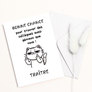 Carte pour départ collègue - Carte Humour - Cadeau à Imprimer image 5