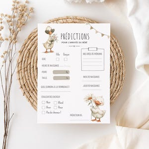Previsioni per la nascita in francese - Previsioni per le anatre - Previsioni di nascita stampabili - Baby shower e gioco per rivelare il sesso del bambino (PDF)