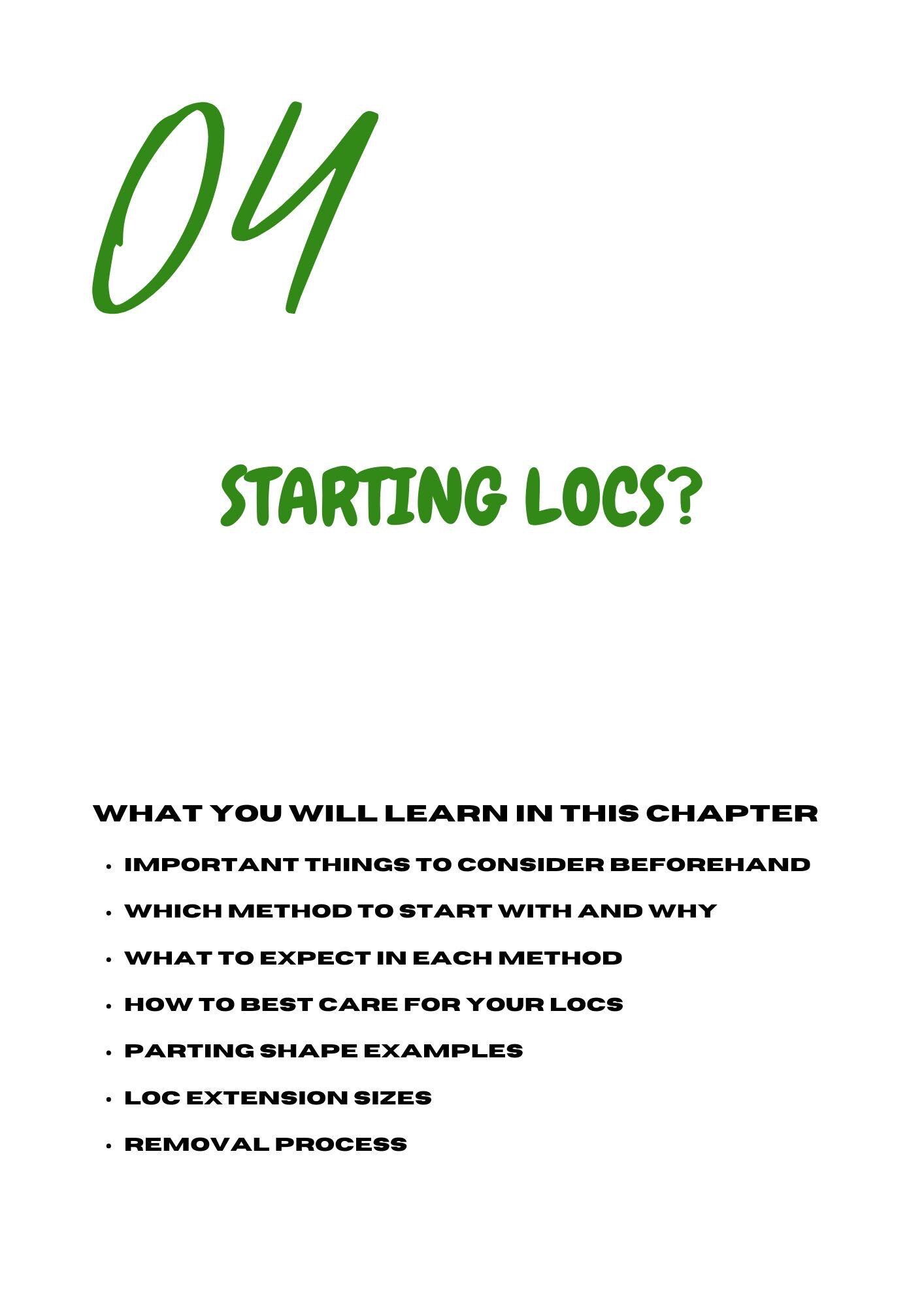 Loc’d in - the Ultimate Loc Guidebook (learn Loc, Scalp Care & Tips ...