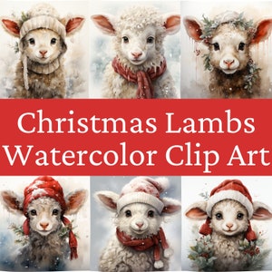 Christmas Baby Lamb, Set of 15 Clipart Bundle, Lamb Clipart, Baby Lamb Clipart, Instant Download, Lamb Design, Commercial Use, JPEG Files