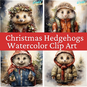 Hedgehog clipart Christmas, 4 Clip Art Bundle, Watercolor Clipart, Christmas Cute Animals, Christmas Clipart, DIGITAL DOWNLOAD, JPEG Files