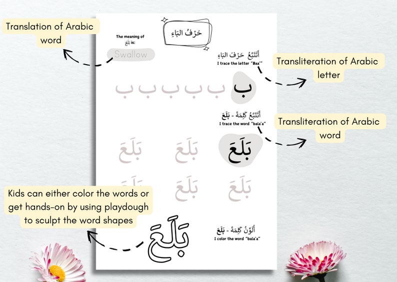 Arabic Verb Cards , Arabic Flashcards, Arabic Workbook, Arabic Verbs ...