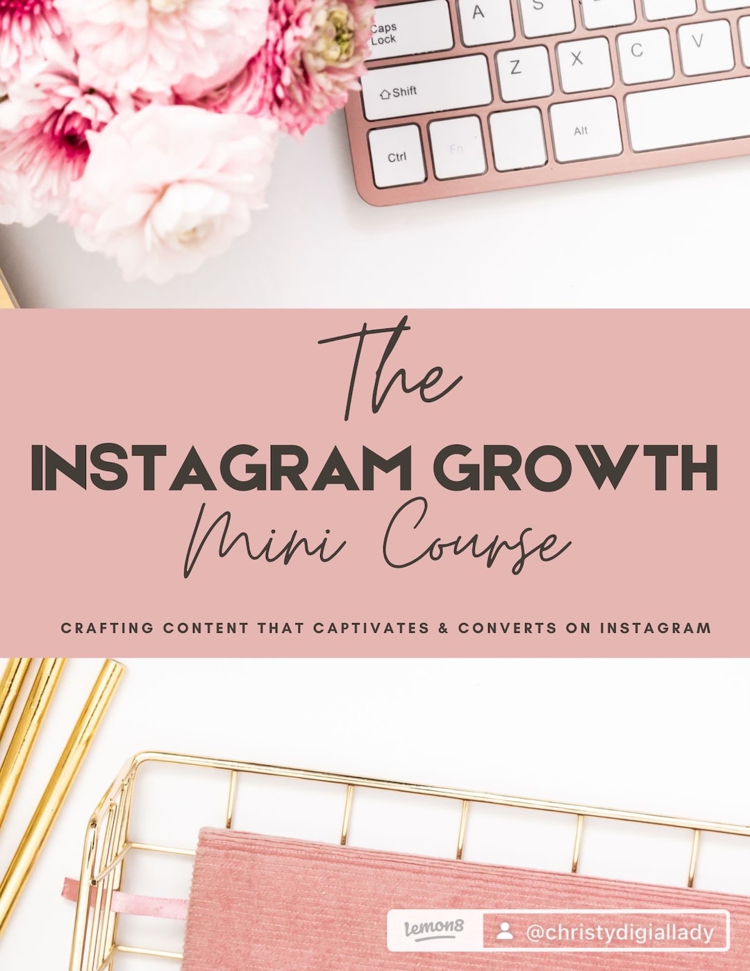 The Mini Instagram Growth Course With MRR/PLR | 3 Hour Instagram Game ...