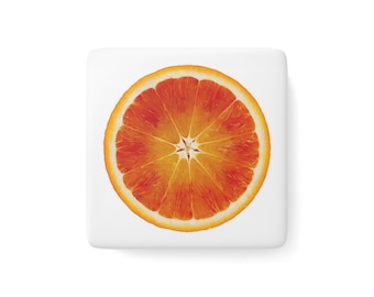 Ímã de fatia de laranja, Ímã de laranja, Ímãs de frutas, Ímã de cítricos, Decoração de cítricos, Ímã de porcelana, Ímãs de geladeira fofos, Ímãs decorativos
