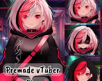 VTuber | Rina, the ninja girl | 5 emotions + 1 toggle | Live2d model for Vtube Studio premade asset for streaming twitch, youtube and more