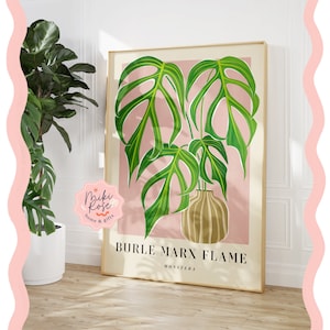 Monstera Burle Marx Flame - Pink, Houseplant Painting, Bold Abstract Modern Art Print, Plant Home Decor, Unusual and Classic Plants