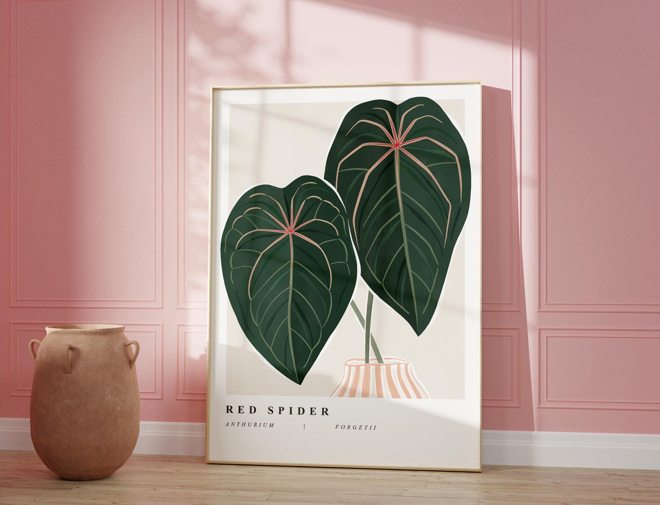 Anthurium red spider - Etsy 日本