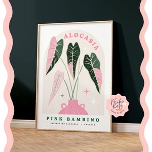 Alocasia Variegated Pink Bambino, Pintura de plantas de interior, Impresión de arte moderno abstracto audaz, Decoración del hogar de plantas, Plantas inusuales y clásicas
