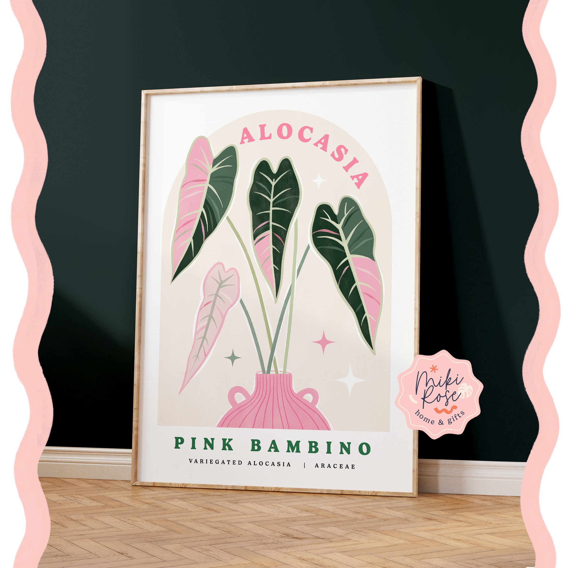 Alocasia bambino pink variegated - Etsy 日本