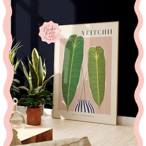 Anthurium Veitchii, King Anthurium, Pink, Houseplant Painting, Bold Abstract Modern Art Print, Plant Home Decor, Unusual and Classic Plants