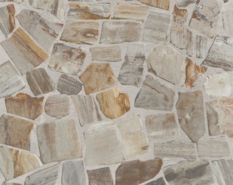 Petrified Wood Tiles - Floor and Wall Mosaic Tile - Honed Finish Tiles for Kitchen, Bathroom (11.4" X 11.4") Mosaic 5 tiles per case