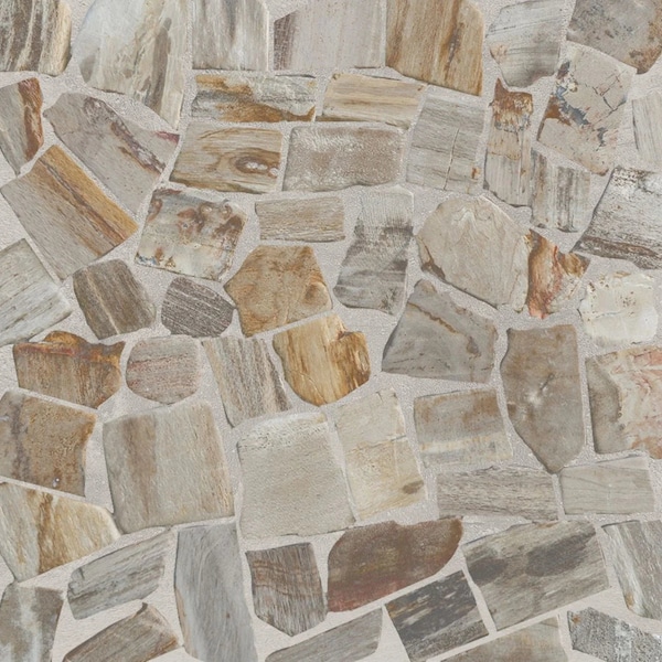 Petrified Wood Tiles - Floor and Wall Mosaic Tile - Honed Finish Tiles for Kitchen, Bathroom (11.4" X 11.4") Mosaic 5 tiles per case