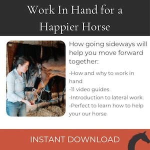 May include: A digital educational guide titled Work In Hand for a Happier Horse, featuring a photograph of a person interacting with a brown horse wearing a black halter. The text outlines 11 video guides on lateral work and horse training.