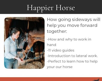 Horse In-Hand Training Guide | 7 Groundwork Exercises + Video Tutorials | Improve Balance, Straightness & Partnership | Digital Download