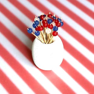 Palillos decorativos para aperitivos: tabla de charcutería para fiestas (30 unidades)