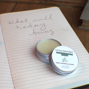 Lemonbalm And Rosehip Lip Balm