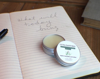 Lemonbalm And Rosehip Lip Balm