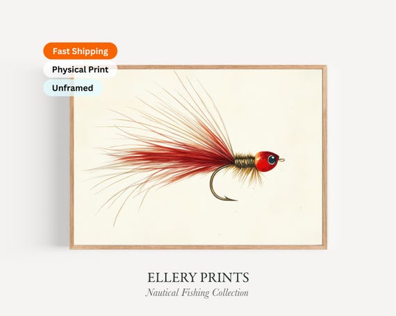 feather fishing lure illustration Framed Fly Art Print Wall Decor for Anglers' Spaces Fishing - Themed Painting Poster Prints, Outdoor Fishing Terminology