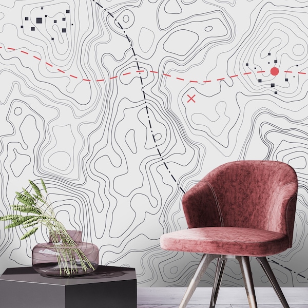 Topographic Topo Map Wallpaper, Black White Background Wall Mural, Scandinavian Minimal Peel and Stick Wallpaper