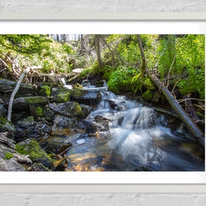 Fine Art Mountain Stream Print - Pyramid Spring Montana Glacier National Park Photography Home Wall Decor