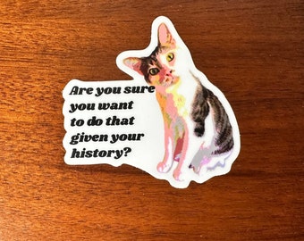 Pegatina de gato crítico. Vinilo de alta calidad: apto para lavavajillas, resistente a la intemperie, ¡perfecto para computadoras portátiles, equipaje y botellas de agua!