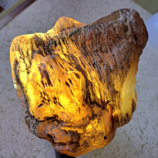 The fire tree fossil. This petrified palm tree wood clear agate fossil is neat!! Add light behind it and it's a yellow on fire cool display