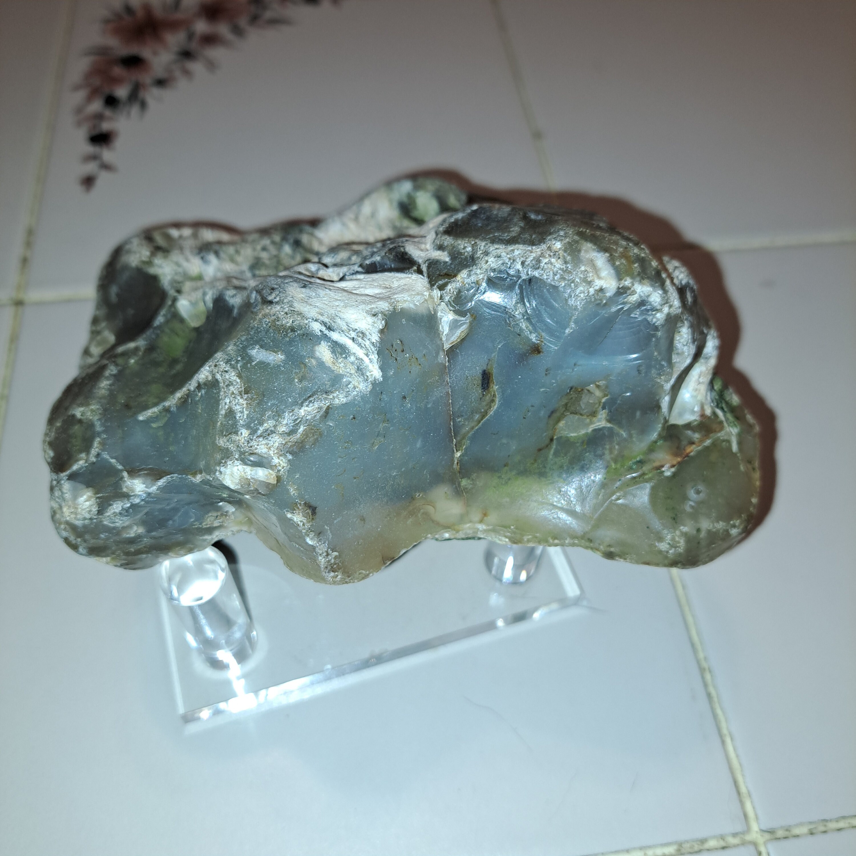 The Fire Tree Fossil. This Petrified Palm Tree Wood Clear - Etsy