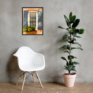Charleston Window Framed poster