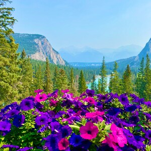 Banff National Park