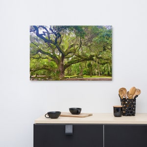 Angel Oak Charleston Canvas