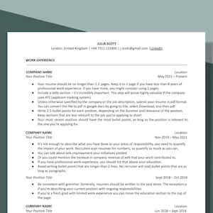 Professional minimalist resume template for Google Docs, Microsoft Word, ATS friendly, Modern Professional Executive Resume Template