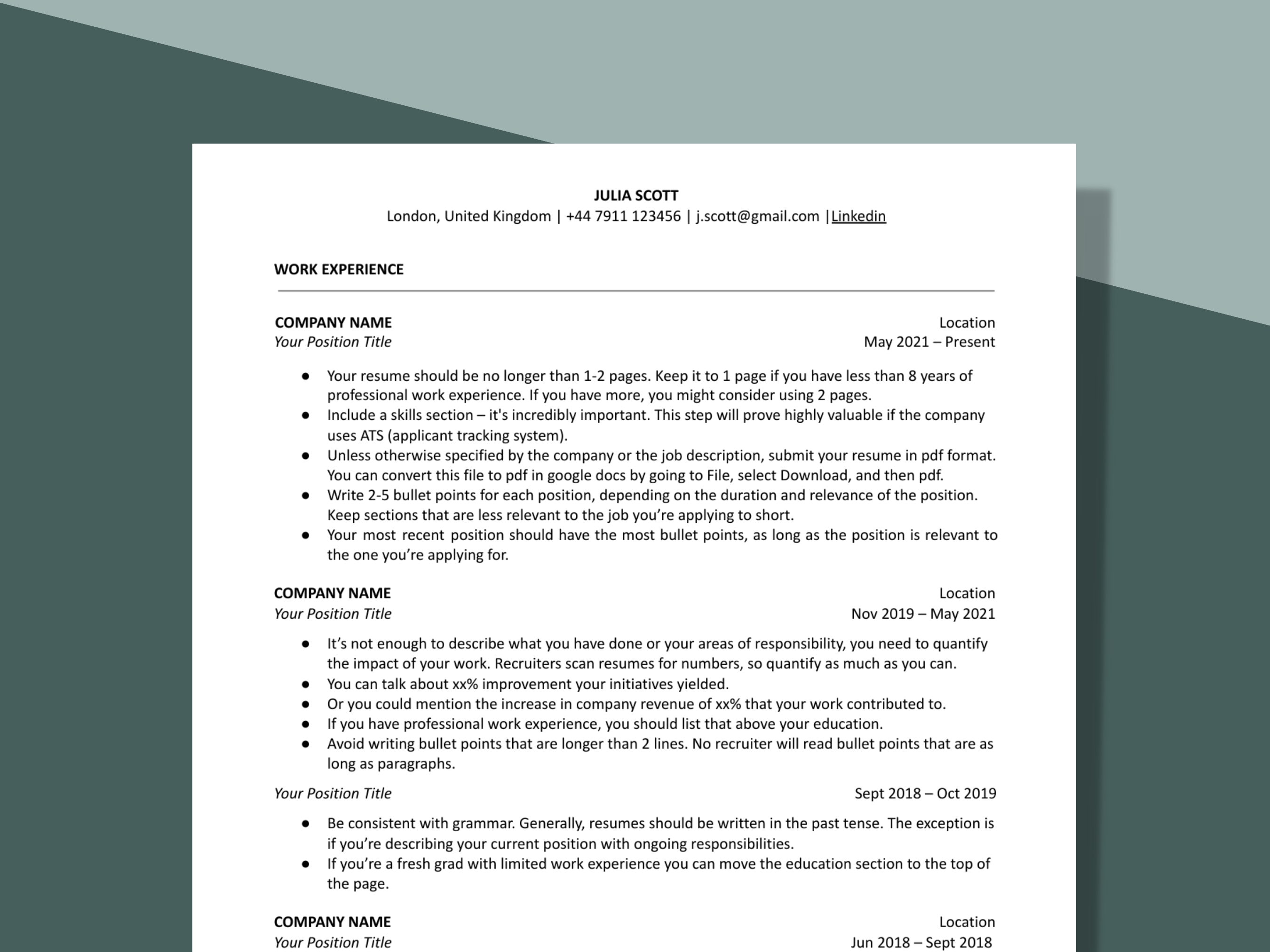 Professional Minimalist Resume Template for Google Docs, Microsoft Word ...