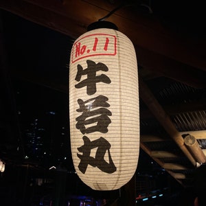 Japanese lanterns buy online sale