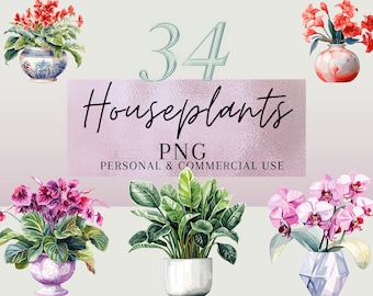 Watercolor House plant PNG clipart, flower clipart, plant clipart, nstant download-Commercial use, Print on Demand, Designs, Stickers