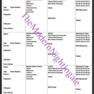 Three Patient Mental Health Nurse Report Sheet