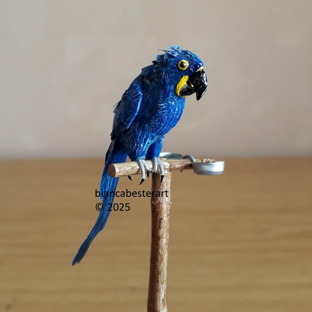 1:12 Scale Hyacinth Macaw on Perch / Dollhouse Miniature Parrot Bird on ...