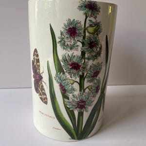 Vintage Portmeirion Botanischer Garten Hyacinthus Orientalis Keramikvase Kanisterglas ohne Deckel 6,25 ”H