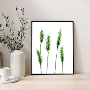 May include: A framed watercolour painting of four green wheat stalks on a white background.