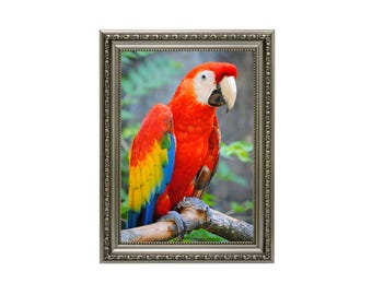 Gunmetal Ornate Picture Frame for 8x10  A4 A3 A5 – Vintage Baroque-Style Frame with Stand – Portrait Landscape – Photo Art Display Classic