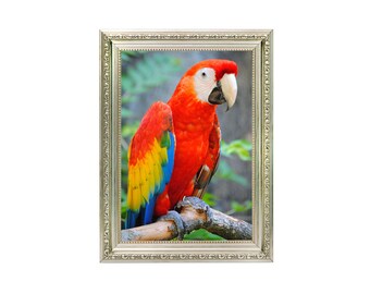 Silver Ornate Picture Frame for 8x10  A4 A3 A5 – Vintage Baroque-Style Frame with Stand – Portrait or Landscape – Photo Art Display Classic